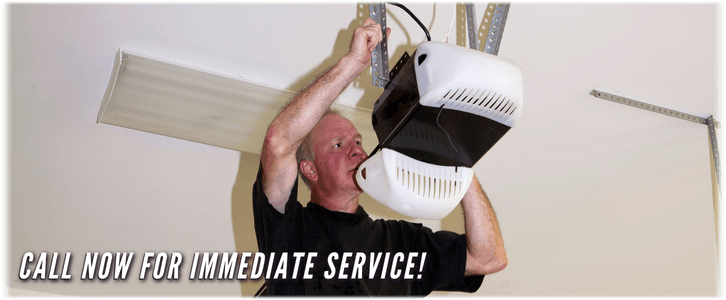 Garage Door Maintenance Alamo